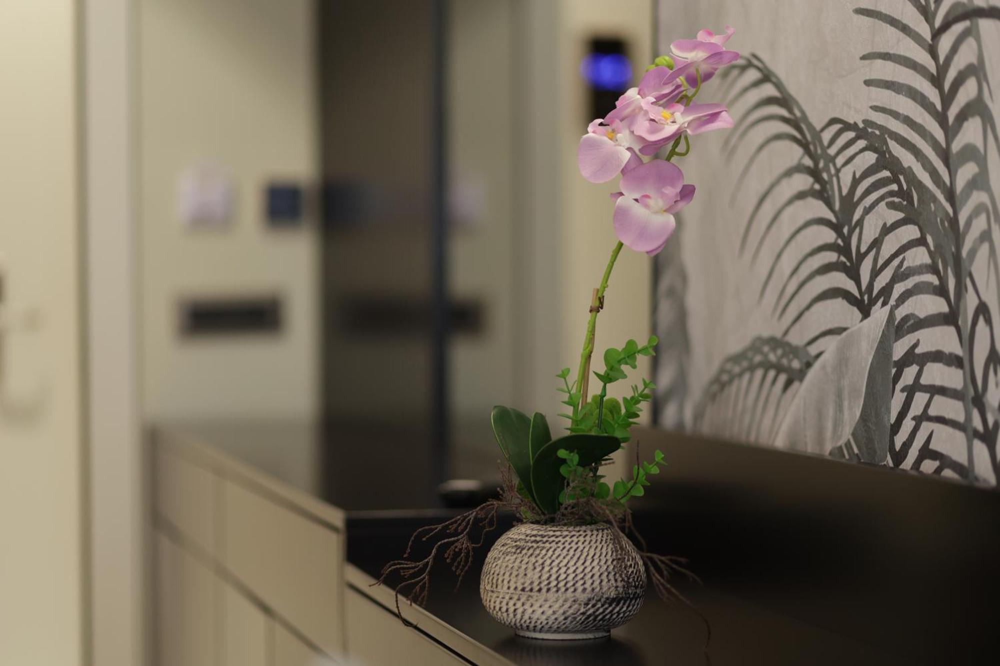 Gremmy Boutique Hotel Tirana Zewnętrze zdjęcie